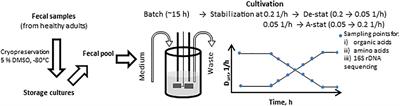 Use of Changestat for Growth Rate Studies of Gut Microbiota